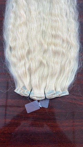 613 Blonde Clip In Extension